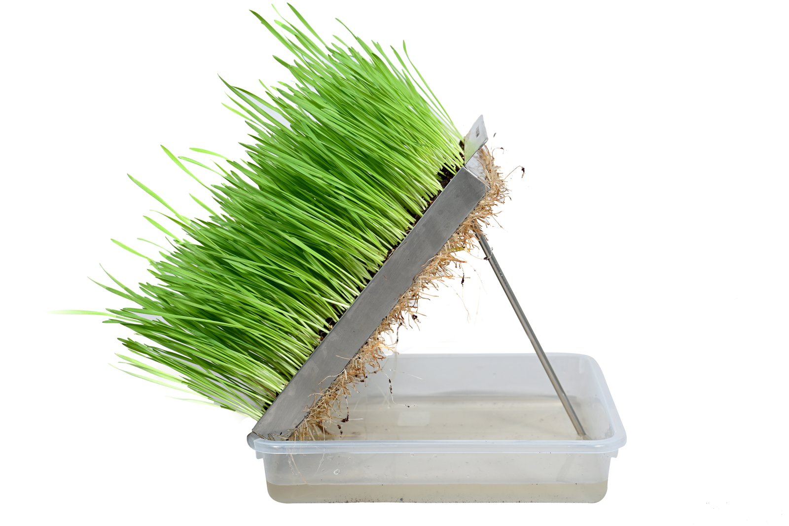 Eco-Friendly & Durable Self-Watering Steel Grow Tray – Small Size